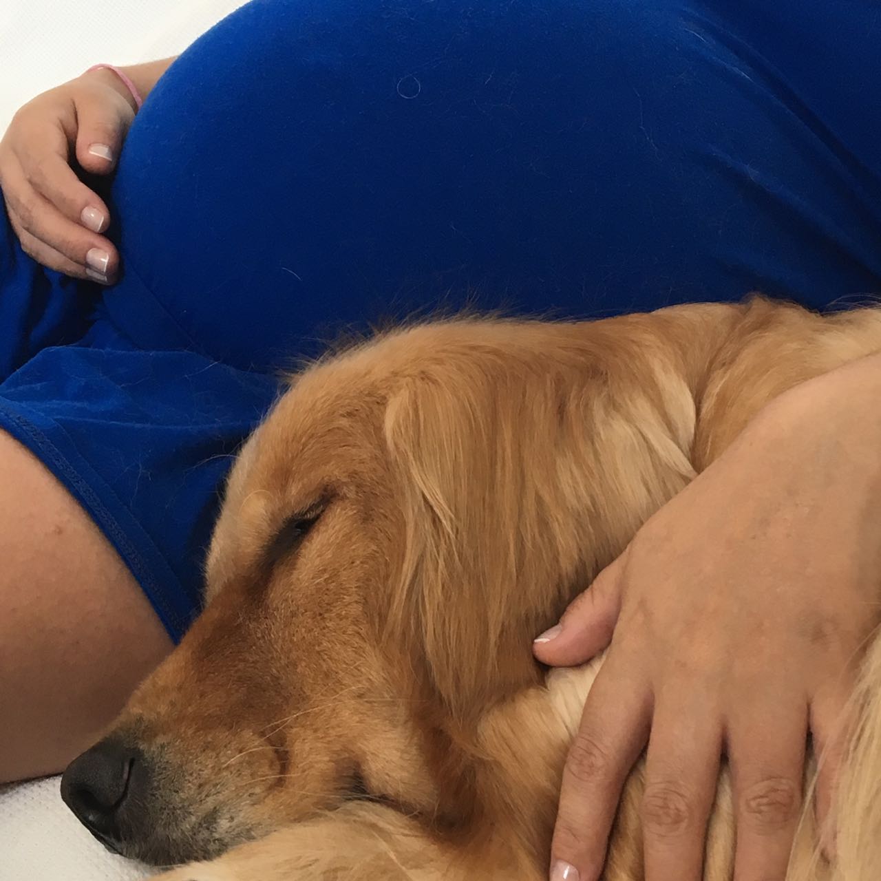 Segurança do bebê em torno dos cães