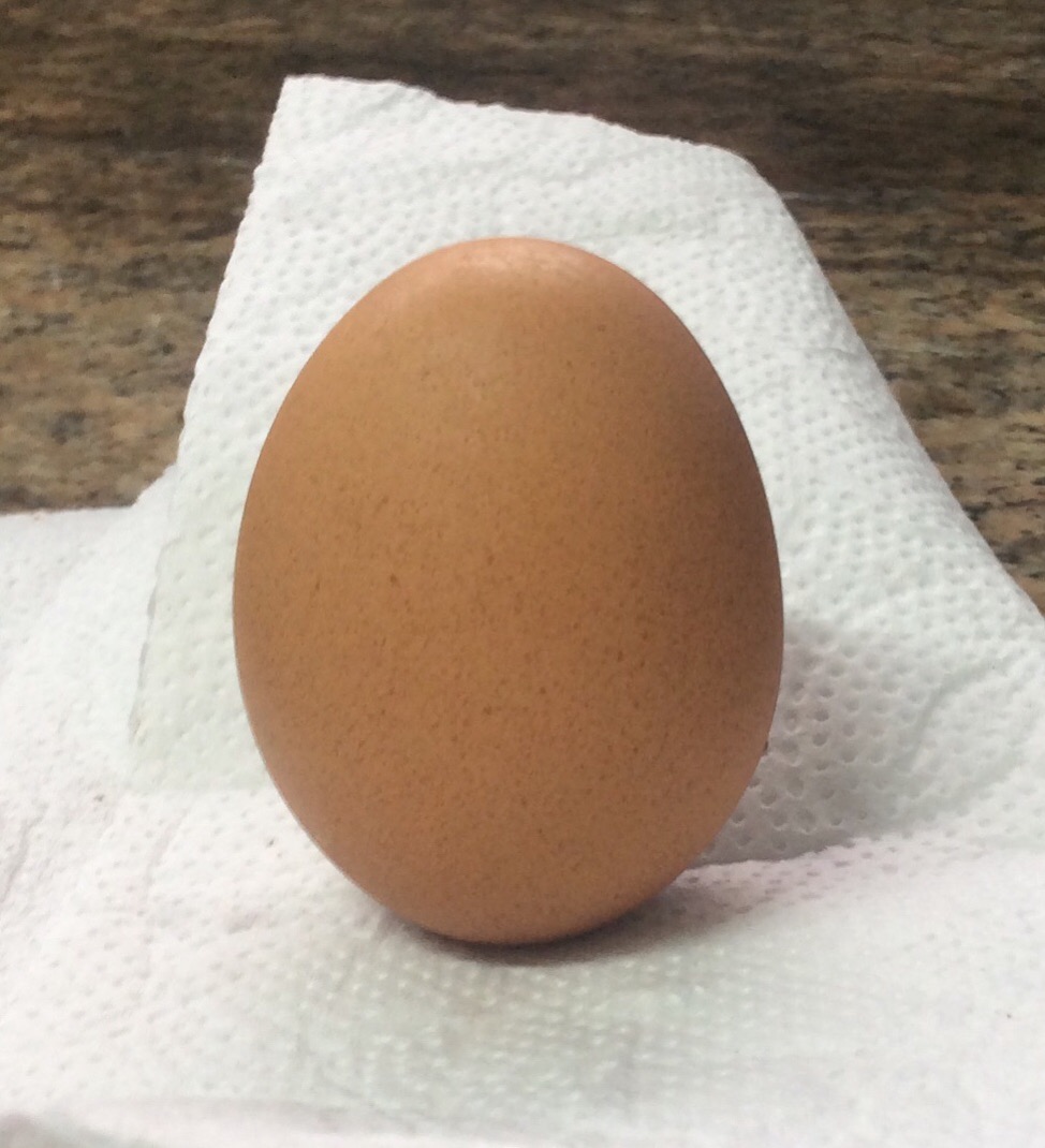 A polêmica da gema de ovo na dieta