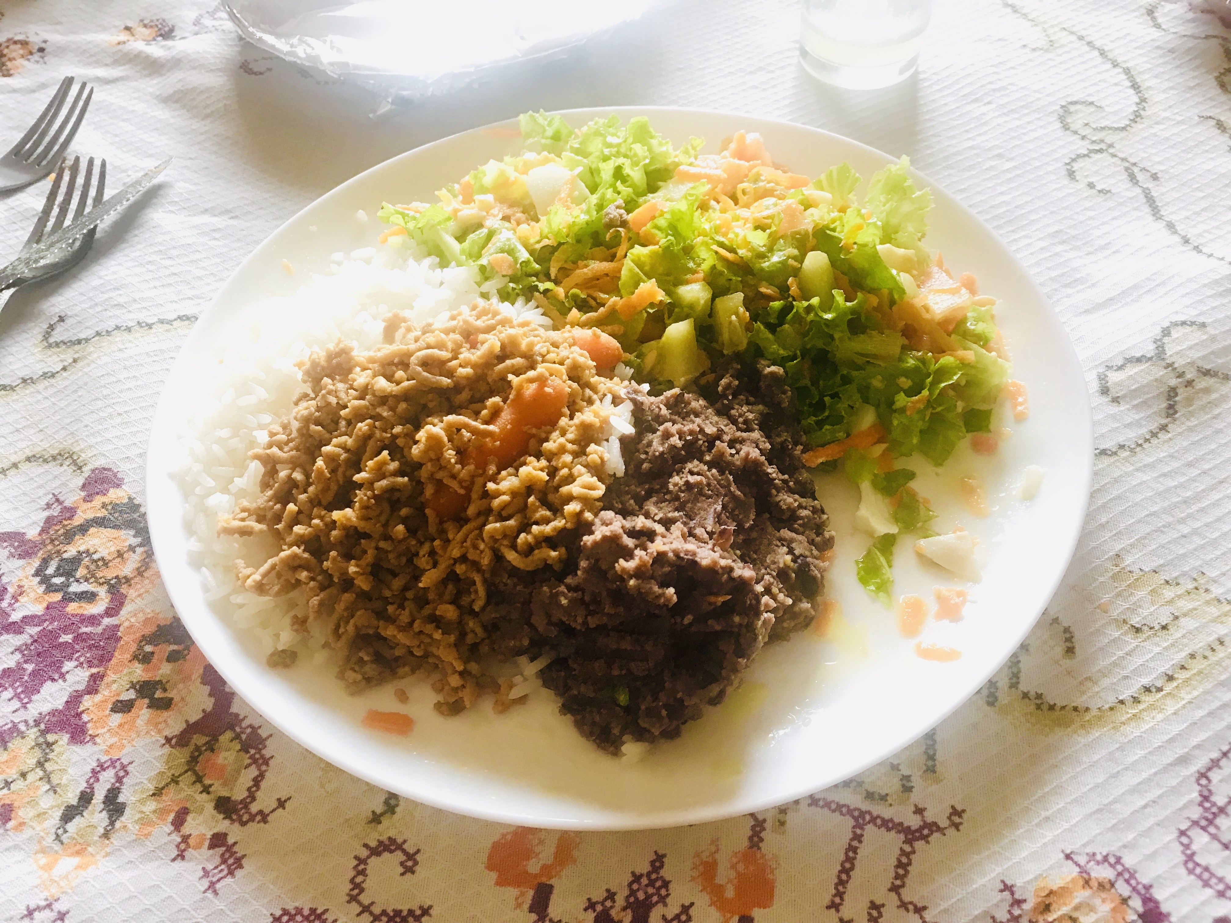 NUTRIÇÃO X RACIOCÍNIO