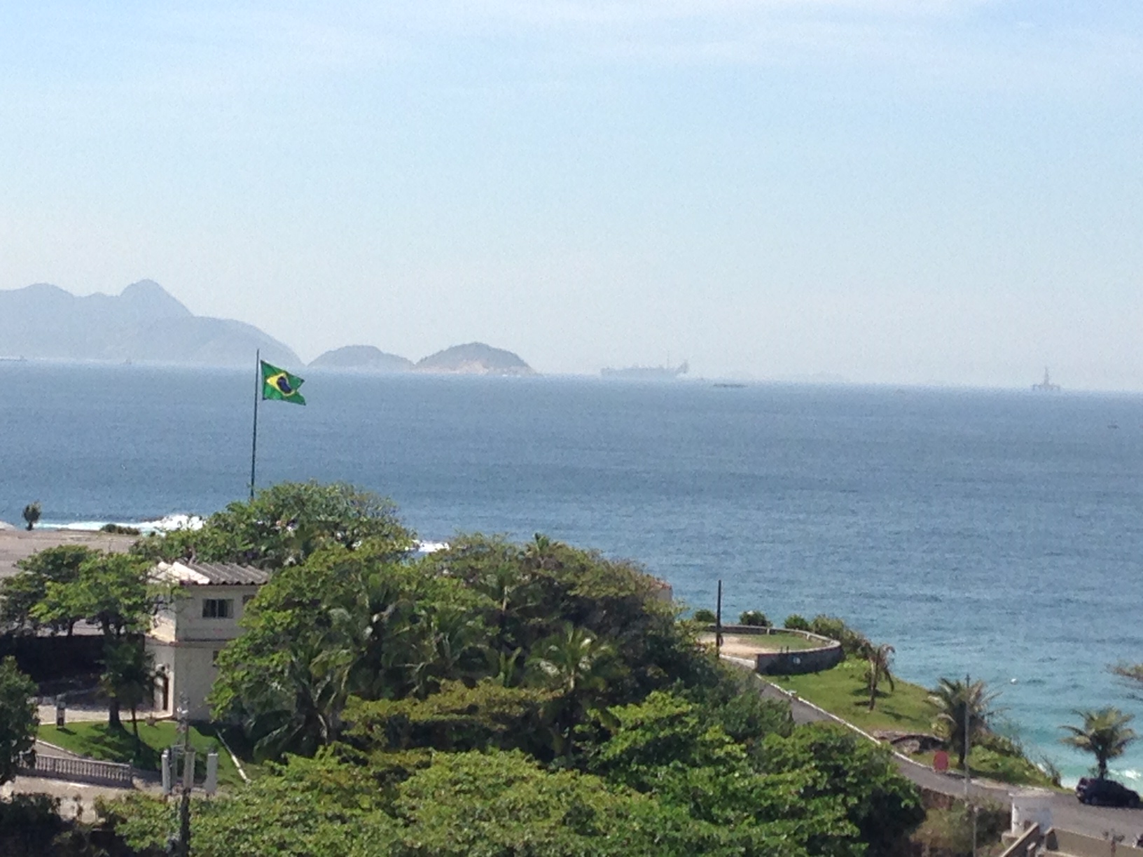 EVIDENCIADO NO BRASIL A POSSIBILIDADE DE OUTRO VÍRUS CAUSADOR DE REUMATISMO
