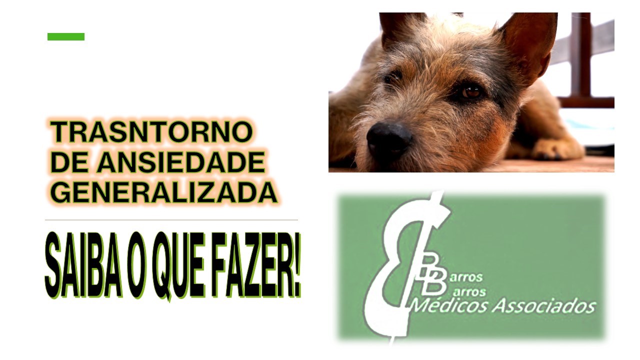 COMO LIDAR COM ANSIEDADE