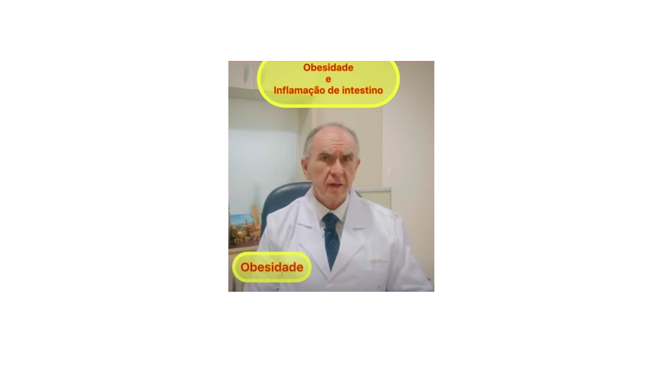 OBESIDADE E INFLAMAÇÃO NO INTESTINO